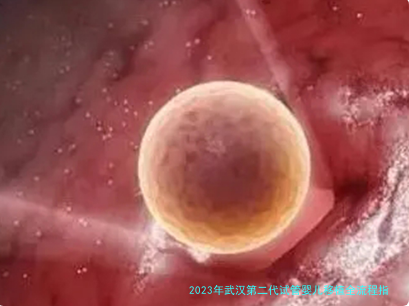 2023年武汉第二代试管婴儿移植全流程指南：从准备到成功