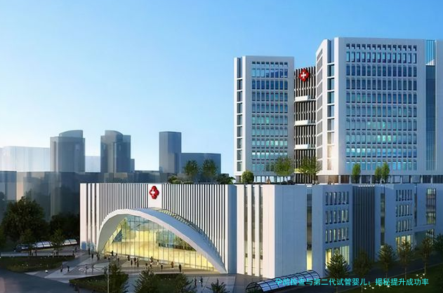 孕前检查与第二代试管婴儿：揭秘提升成功率的关键步骤
