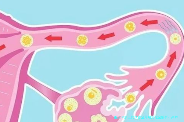 重庆50岁三代试管全周期流程全解析：高龄生育的科学指南