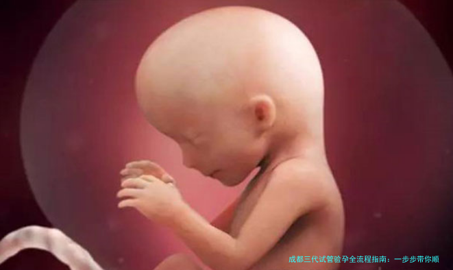 成都三代试管验孕全流程指南：一步步带你顺利好孕