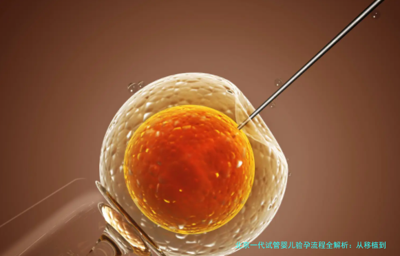 北京一代试管婴儿验孕流程全解析：从移植到揭晓的关键步骤