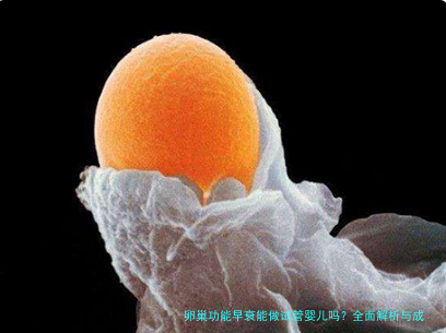 卵巢功能早衰能做试管婴儿吗？全面解析与成功经验分享