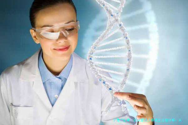 子宫腺肌病二代试管婴儿移植全流程详解：从准备到成功的每一步