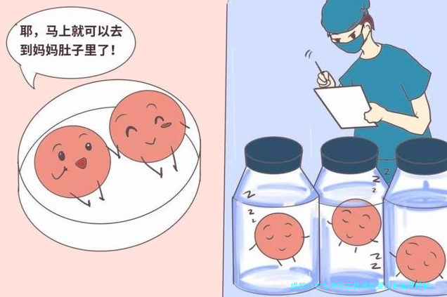 成都31岁女性第二代试管婴儿全流程详解：一步步带你走完