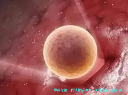 甲减做第一代试管成功率：关键因素与提升策略全解析