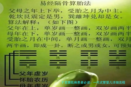 子宫腺肌病患者必读：一代试管婴儿详细流程全解析