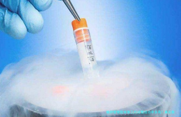 输卵管梗阻做第三代试管成功率多高？真实数据+经验分享