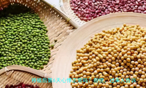 移植后第6天心悸正常吗？别慌，过来人告诉你真相