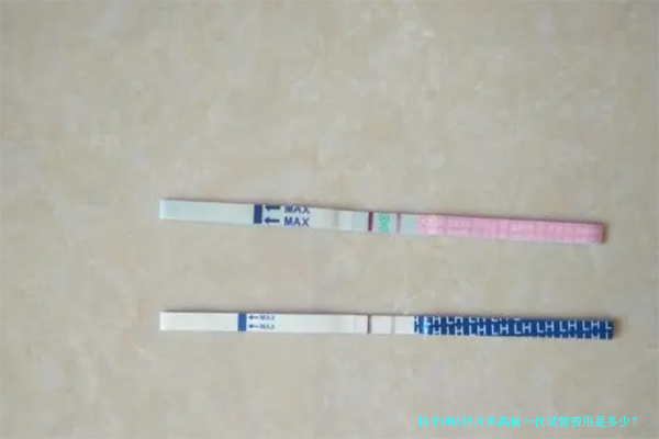精子DNA碎片率高做一代试管费用是多少？听听过来人怎么说