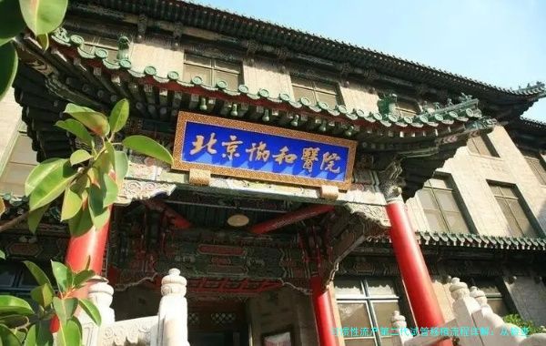 习惯性流产第二代试管移植流程详解：从检查到验孕的每一步
