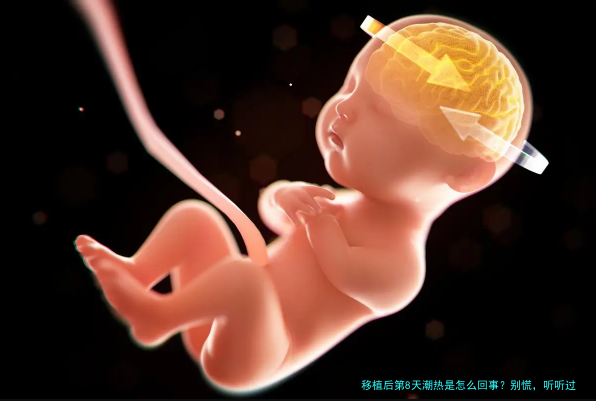 移植后第8天潮热是怎么回事？别慌，听听过来人怎么说