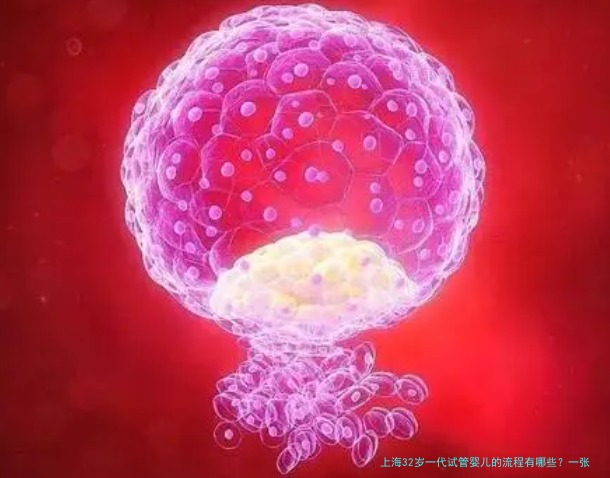 上海32岁一代试管婴儿的流程有哪些？一张流程图带你了解