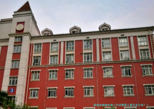 染色体微缺失做二代试管婴儿要花多少钱？一文说清费用明细与省钱攻略