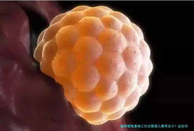 输卵管阻塞做三代试管婴儿费用多少？这份详细清单请收好！
