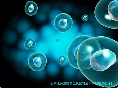 北京北医三院第二代试管成功率到底怎么样？附真实经验分享