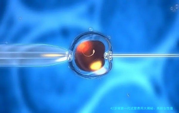 42岁做第一代试管费用大揭秘：高龄女性值得花多少钱？