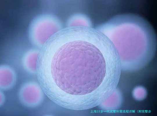 上海33岁一代试管所需流程详解(附完整步骤)