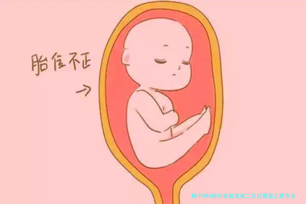 精子DNA碎片指数高做二代试管婴儿费用全解析：别让钱挡了你的好孕路