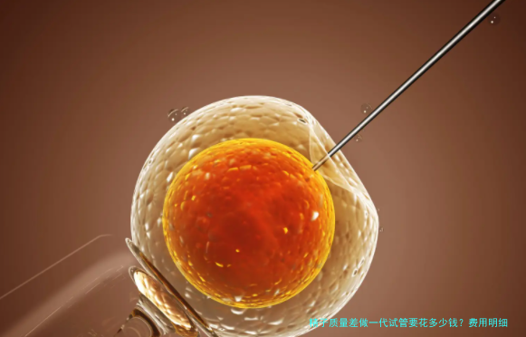 精子质量差做一代试管要花多少钱？费用明细与建议