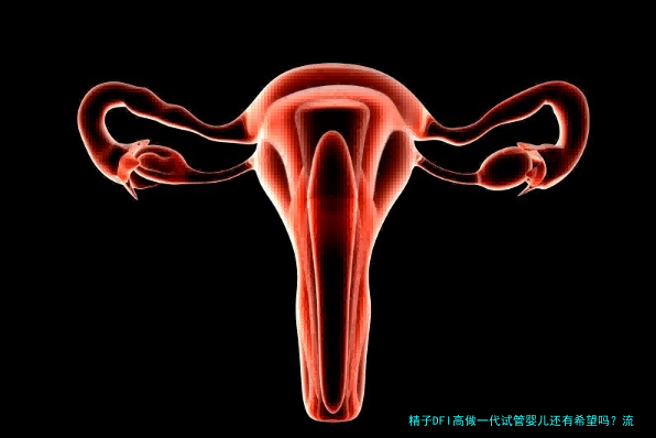 精子DFI高做一代试管婴儿还有希望吗？流程与成功率详解