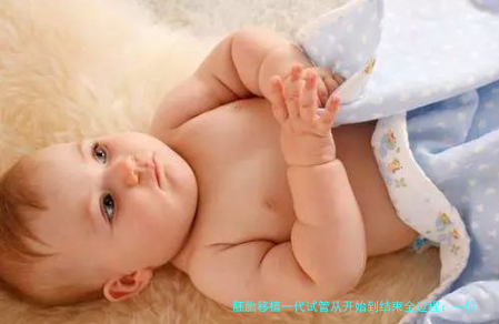 胚胎移植一代试管从开始到结束全过程：一位过来人的时间线详解