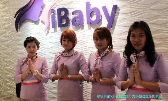 移植后第5天发烧别慌！先搞懂这些原因和应对方法
