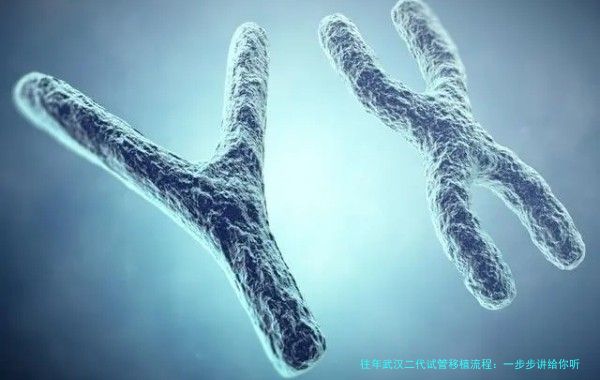 往年武汉二代试管移植流程：一步步讲给你听