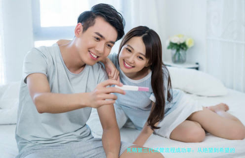 死精第三代试管流程成功率：从绝望到希望的真实路径