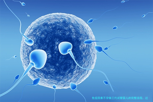 免疫因素不孕做三代试管婴儿的完整流程,过来人经验分享