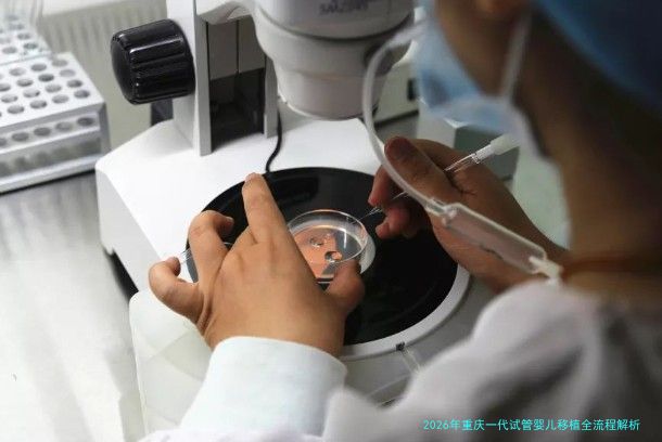 2026年重庆一代试管婴儿移植全流程解析，这些细节你注意到了吗？