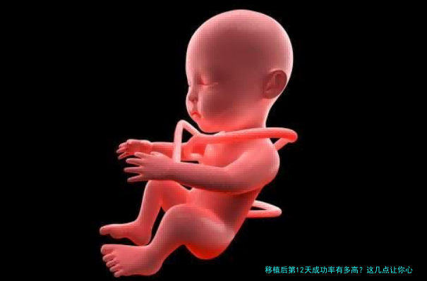 移植后第12天成功率有多高？这几点让你心里有数