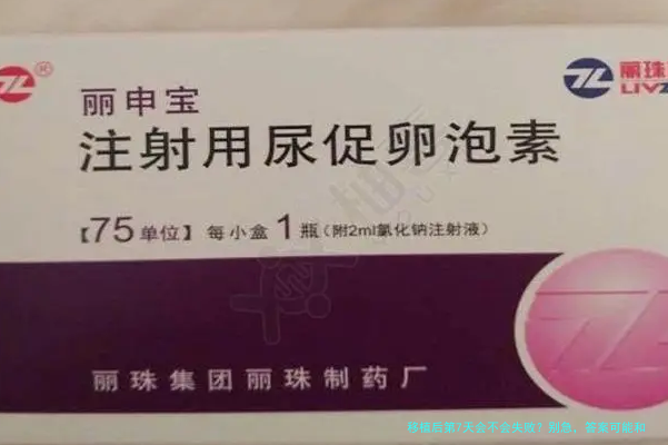 移植后第7天会不会失败？别急，答案可能和你想的不一样