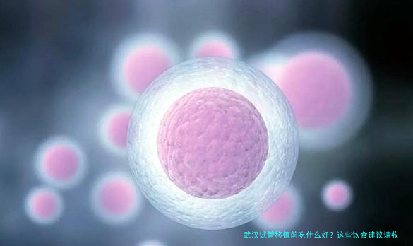 武汉试管移植前吃什么好?这些饮食建议请收好