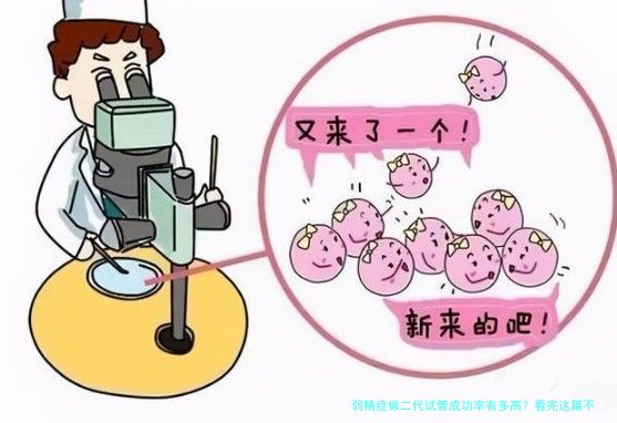 弱精症做二代试管成功率有多高？看完这篇不焦虑