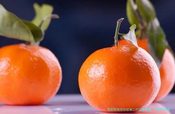 宫腔粘连综合征做二代试管移植，你需要知道的完整流程与注意事项
