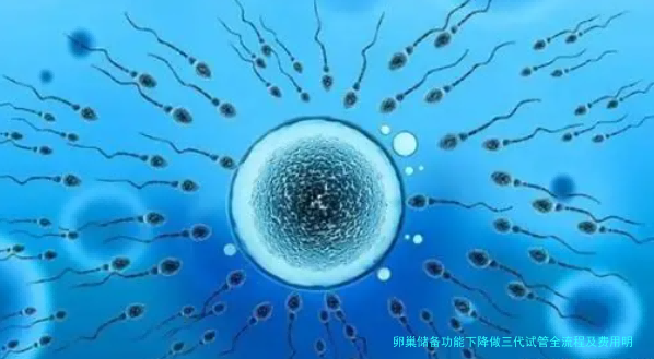 卵巢储备功能下降做三代试管全流程及费用明细（2025版）