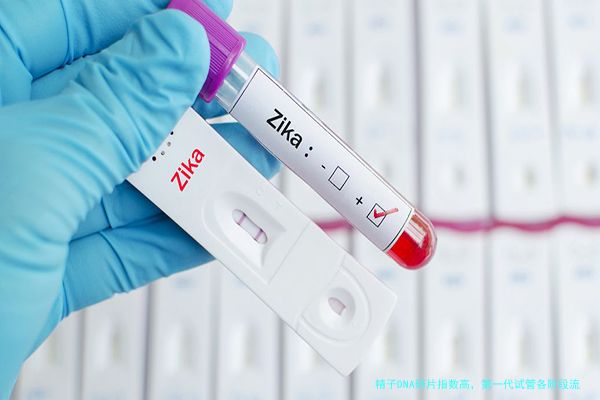 精子DNA碎片指数高，第一代试管各阶段流程该如何走？