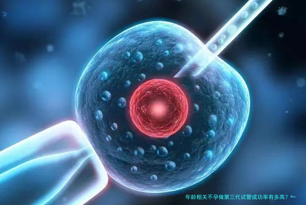 年龄相关不孕做第三代试管成功率有多高？一文讲清楚