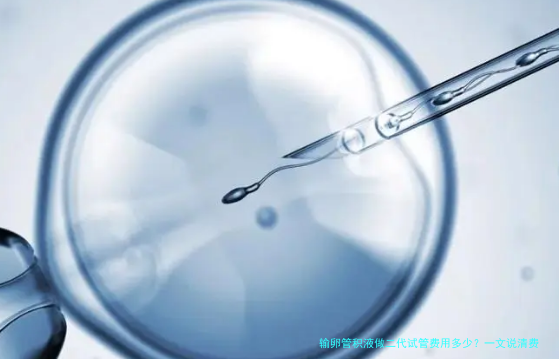 输卵管积液做二代试管费用多少？一文说清费用明细和坑