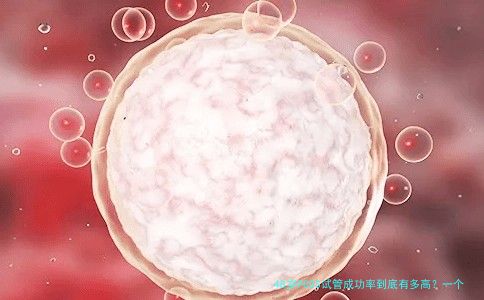 48岁PCOS试管成功率到底有多高？一个过来人的大实话