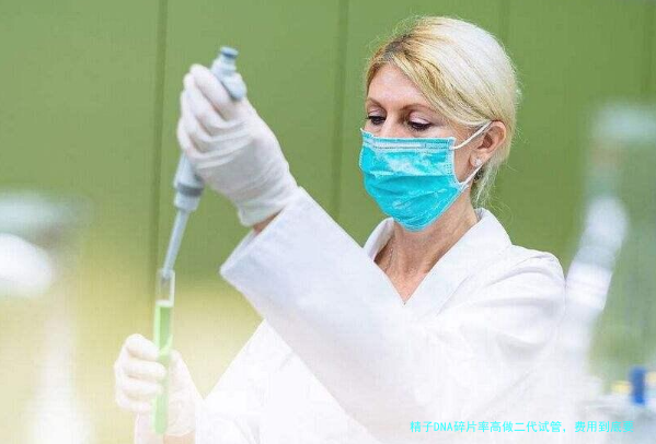 精子DNA碎片率高做二代试管,费用到底要多少?