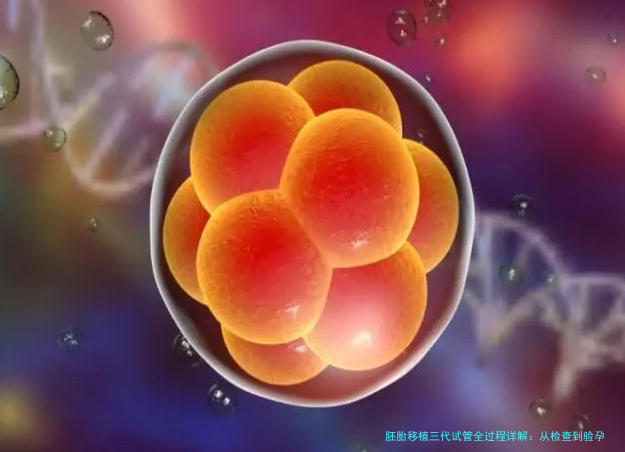 胚胎移植三代试管全过程详解：从检查到验孕，每一步都讲透