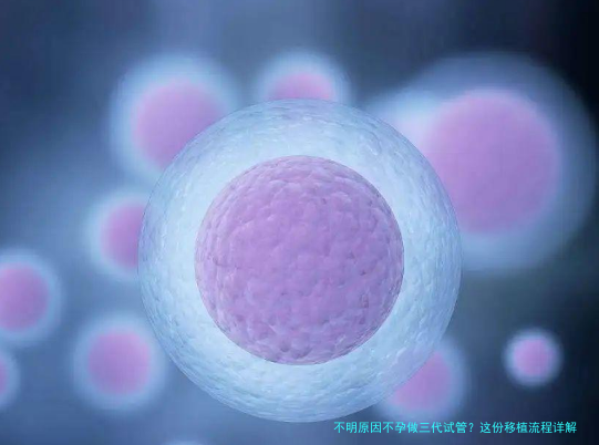 不明原因不孕做三代试管？这份移植流程详解请收好