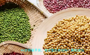 46岁卵巢早衰，做试管还有戏吗？真实成功率告诉你答案