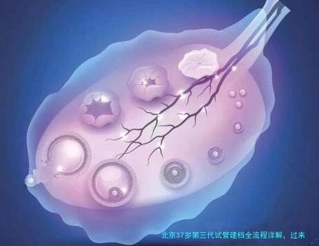 北京37岁第三代试管建档全流程详解，过来人教你避坑！