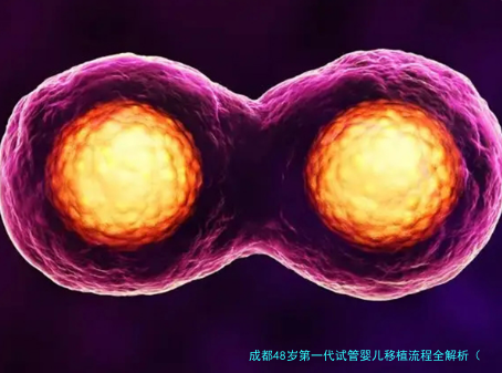 成都48岁第一代试管婴儿移植流程全解析（高龄必看）
