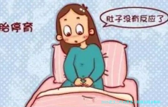 2025武汉二代试管婴儿移植流程全解析：从进周到验孕，每一步都清晰
