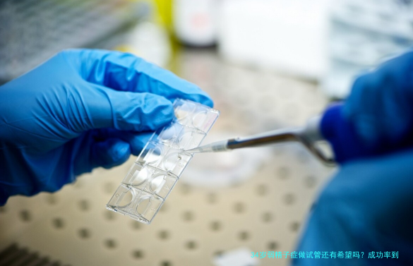 34岁弱精子症做试管还有希望吗？成功率到底多少？