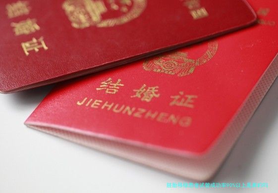 胚胎移植患者试管成功率90%以上是真的吗？揭秘高成功率的背后