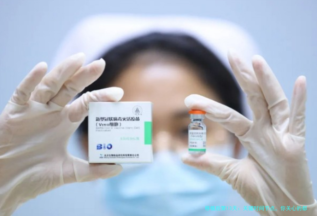 移植后第13天：关键时间节点，你关心的都在这里